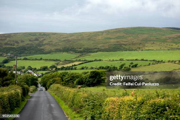country road and rural scene - ayrshire stock pictures, royalty-free photos & images