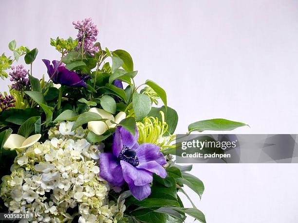 soft purple flowers - anemone flower arrangements stock pictures, royalty-free photos & images