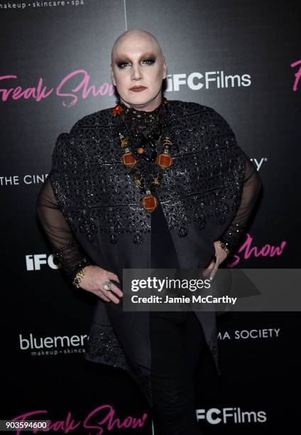 James St. James attends The Cinema Society & Bluemercury Host The Premiere Of IFC Films' "Freak Show" at Landmark Sunshine Cinema on January 10, 2018...