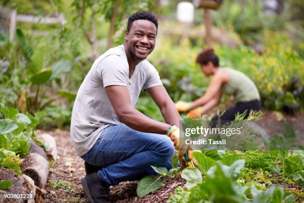 ik ben gelukkigste wanneer ik werk mijn velden - african american farmer stockfoto's en -beelden