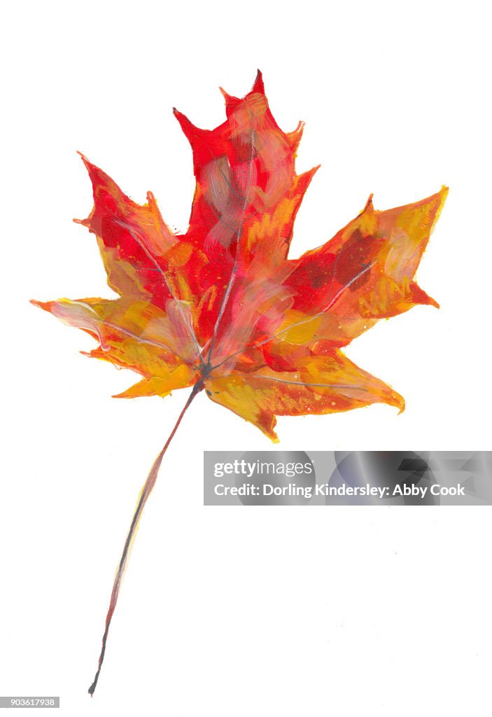 Autumn Leaf