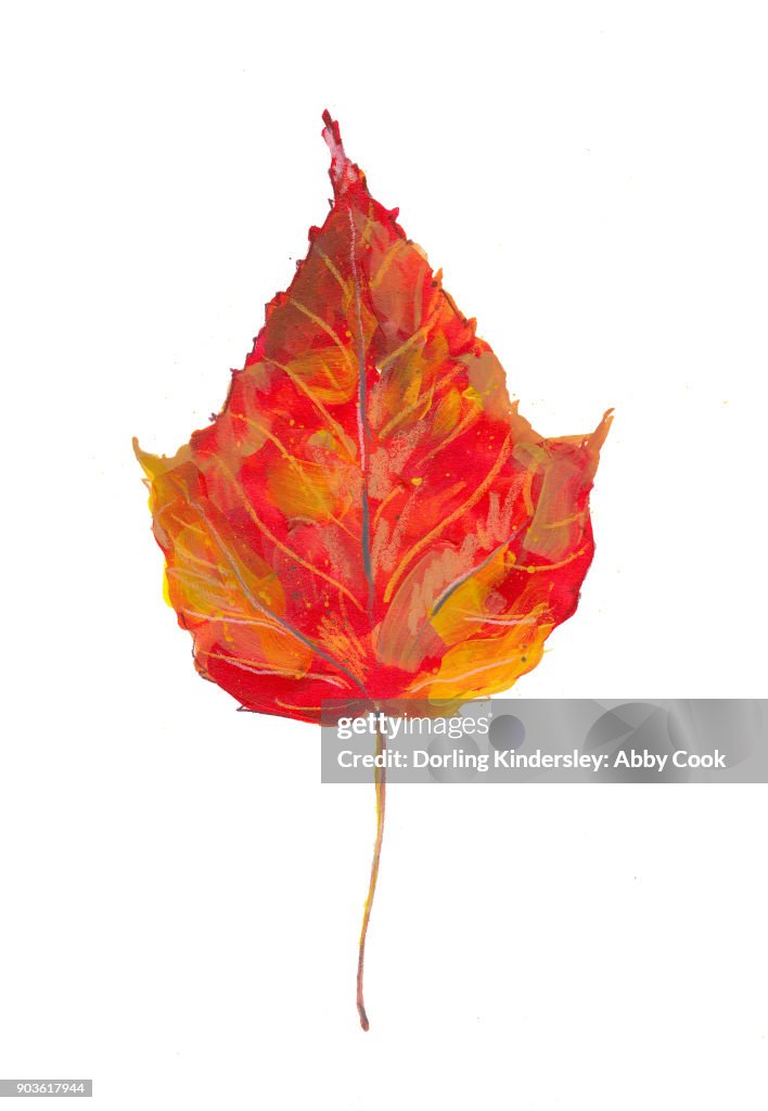 Autumn Leaf