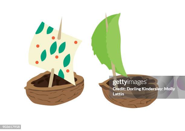 nutshell boats/ walnut boats - walnut shell stock illustrations