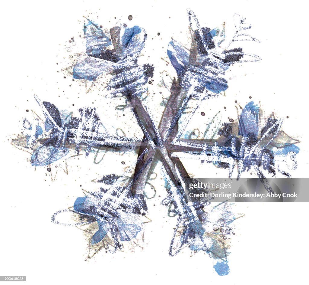 Snowflakes