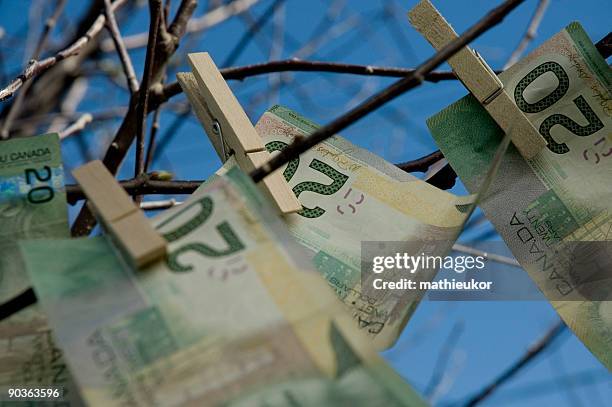 close-up of tree limbs with twenty dollar bills clipped on - canada money stock pictures, royalty-free photos & images