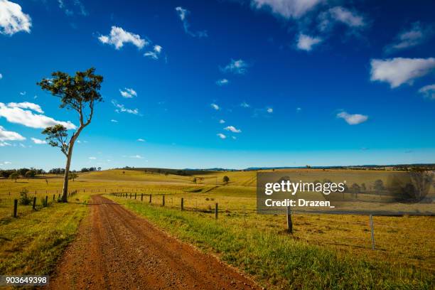 nature in australia - new south wales landscape stock pictures, royalty-free photos & images