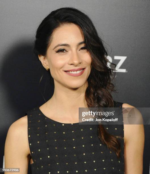 Maria-Elena Laas attends the Los Angeles Premiere of Starz's "Counterpart" at Directors Guild Of America on January 10, 2018 in Los Angeles,...