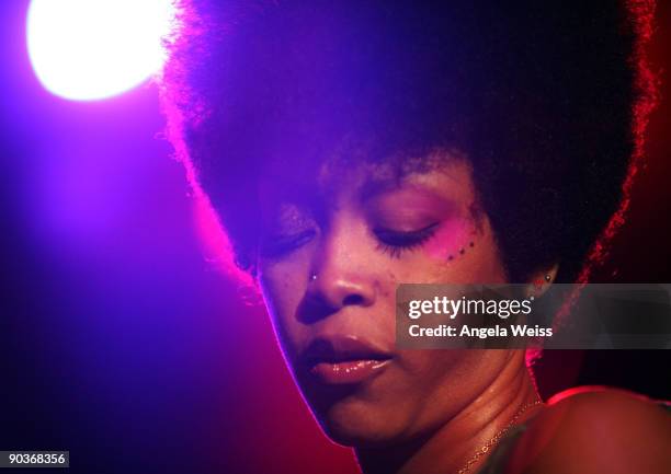 Singer Erykah Badu performs at the Hollywood Palladium on September 5, 2009 in Los Angeles, California.