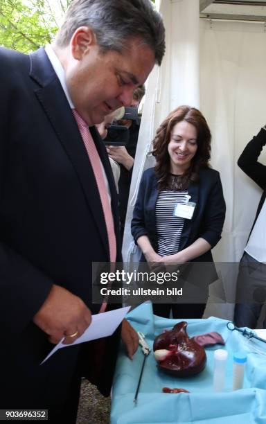Germany, Bundesminister Sigmar Gabriel auf der Innovationspreis, Mittelstandstag des BmWi, hier das neue Herz der SPD, ein 3 D Modell fuer angehende...