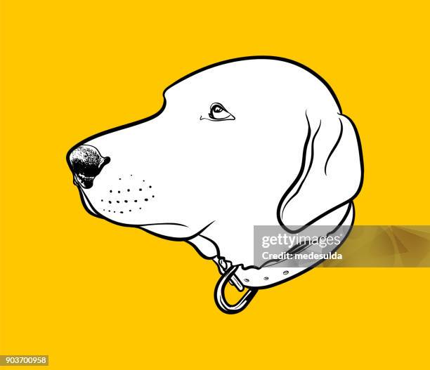 hund kopf vektor - beware of dog stock-grafiken, -clipart, -cartoons und -symbole