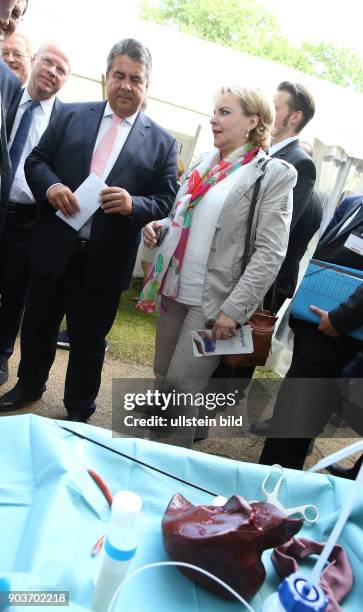 Germany, Bundesminister Sigmar Gabriel auf der Innovationspreis, Mittelstandstag des BmWi, hier das neue Herz der SPD, ein 3 D Modell fuer angehende...