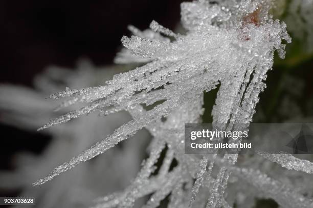 Eiskristalle gefrorenes Wasser in kristallen nadelfoermigen Strukturen
