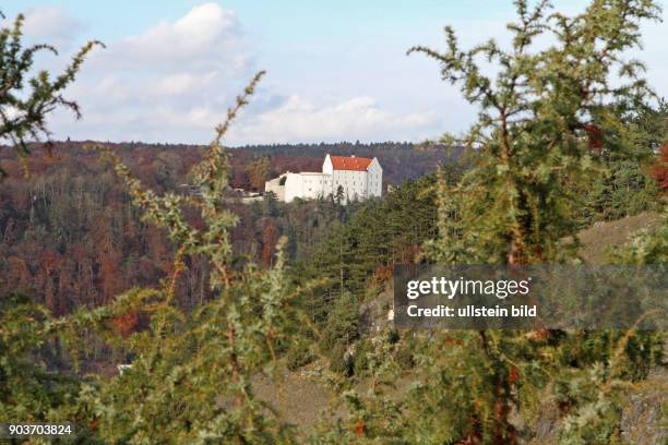 Schloss Rosenburg Riedenburg hinter herbstlich gefaerbten Wacholderbueschen auf Trockenrasen vor blauem Himmel