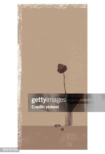 Rose Rose