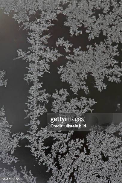 Eisblume Eiskristalle an Fensterscheibe