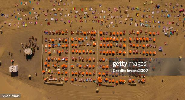 aerial view of sunbathers on a beach in maspalomas, gran canaria, spain. - octocopter stock pictures, royalty-free photos & images