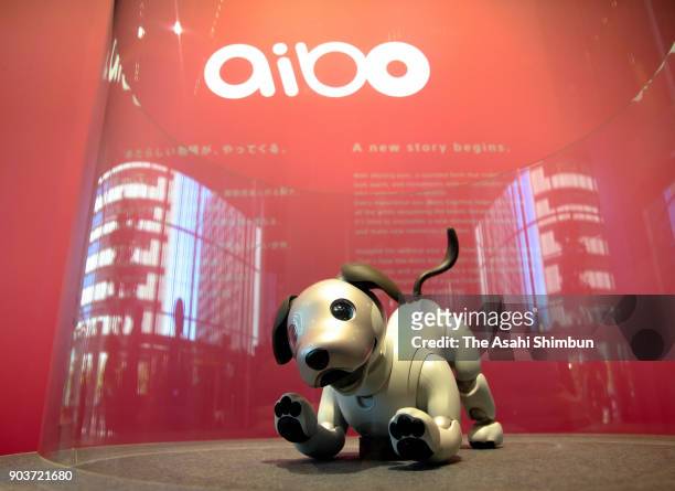 Sony's new Aibo robot dog is seen during its launching ceremony on January 11, 2018 in Tokyo, Japan. The much-loved electronic pup has been...