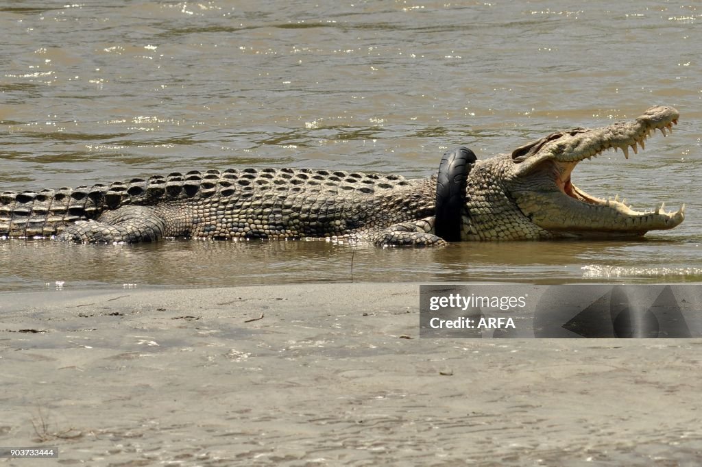 INDONESIA-ANIMAL-WILDLIFE