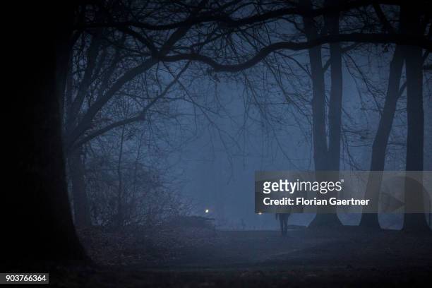 Man walks through a forest during foggy weather on January 10, 2018 in Berlin, Germany.