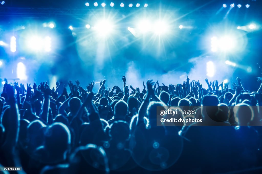 Crowd At Music Concert