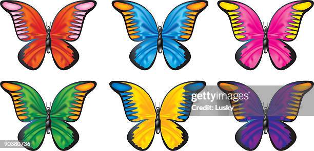 butterfly set - blue morpho butterfly stock illustrations