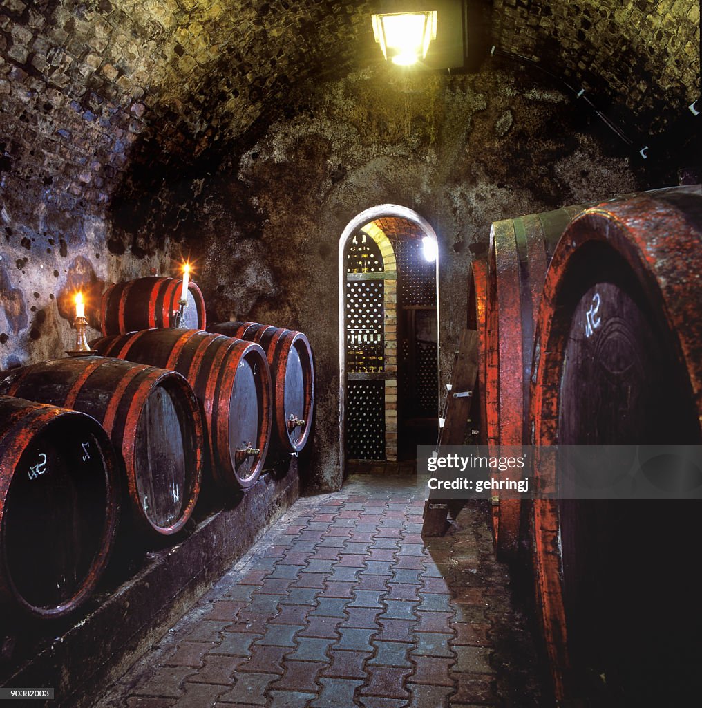 Barris de vinho em uma Adega