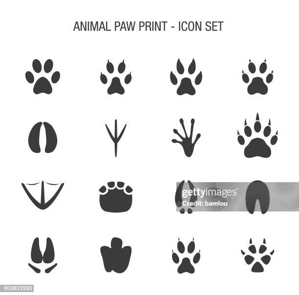 ilustraciones, imágenes clip art, dibujos animados e iconos de stock de conjunto de paw animal icono impresión - iguana