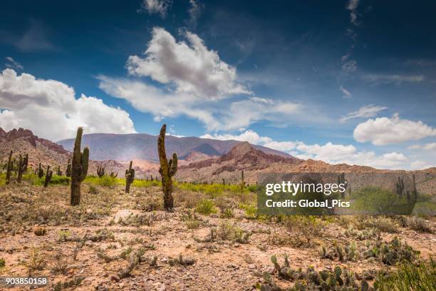 tilcara, jujuy - argentina - guerrero state stock pictures, royalty-free photos & images