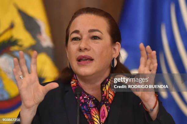 Ecuadorean Foreign Minister Maria Fernanda Espinosa speaks during a press conference in Quito on January 11 to announce WikiLeaks founder Julian...