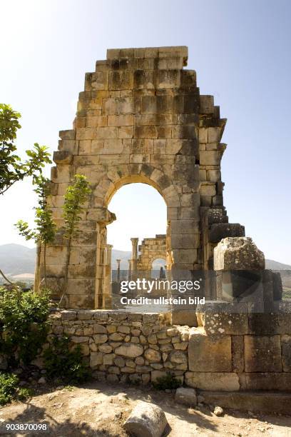 Nordafrika, MAR, Marokko, Volubilis. Eingebettet in eine weite, huegelige Landschaft, erstrecken sich die Ruinen des antiken Volubilis am Fuss des...