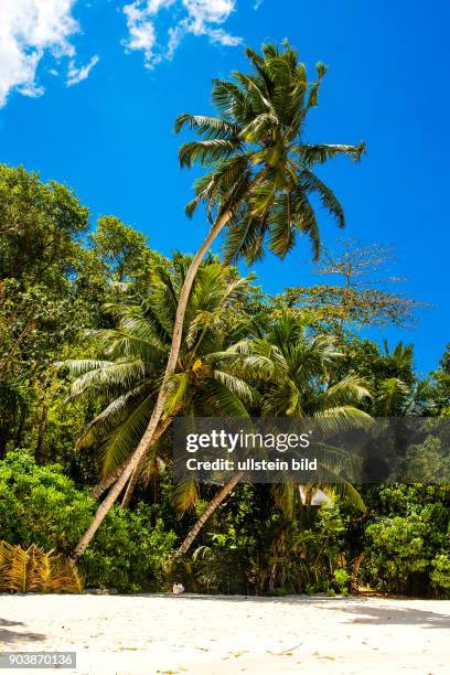 Petite Anse oder Anse la Liberté, Seychellen, Seychelles, SYC, Mahè, groesste Insel, Hauptinsel, Regierungs- und Verwaltungssitz, Inselstaat, Africa,...