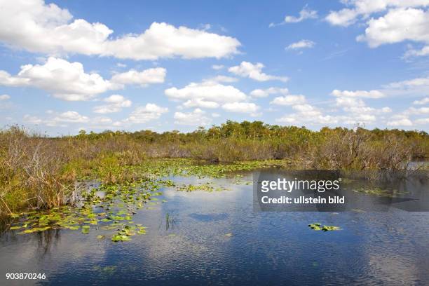 Everglades National Park,Sumpfgebiet mit hunderten von Fisch und Vogelarten, Sumpfgebiet wird nur aus einem einzigen breiten Fluss gebildet. Wegen...