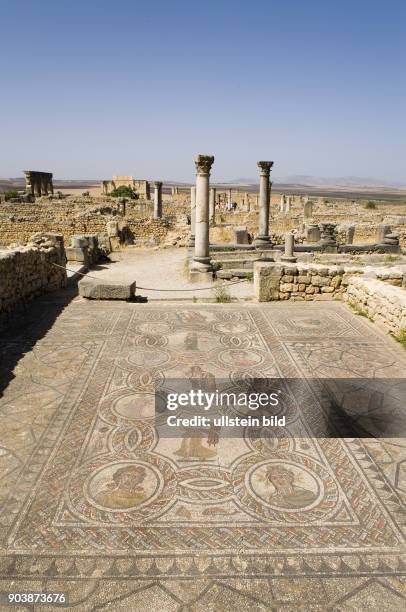 Nordafrika, MAR, Marokko, Volubilis. Eingebettet in eine weite, huegelige Landschaft, erstrecken sich die Ruinen des antiken Volubilis am Fuss des...