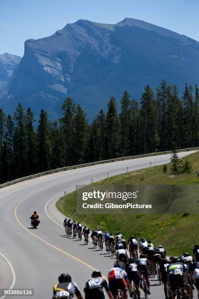 road bicycle race - cycling event stock pictures, royalty-free photos & images