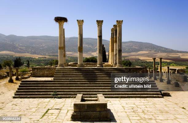 Nordafrika, MAR, Marokko, Volubilis. Eingebettet in eine weite, huegelige Landschaft, erstrecken sich die Ruinen des antiken Volubilis am Fuss des...