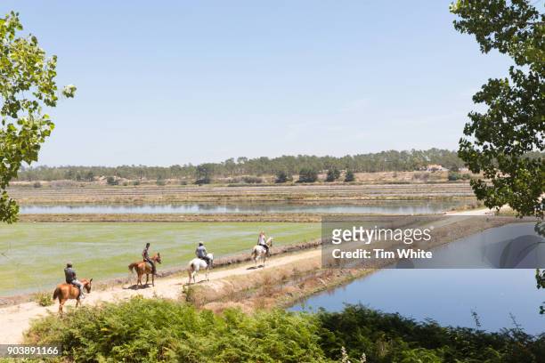 horse riding on the beach, comporta, portugal - comporta portugal fotografías e imágenes de stock