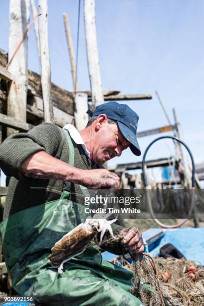 fisherman, comporta, portugal - comporta portugal fotografías e imágenes de stock