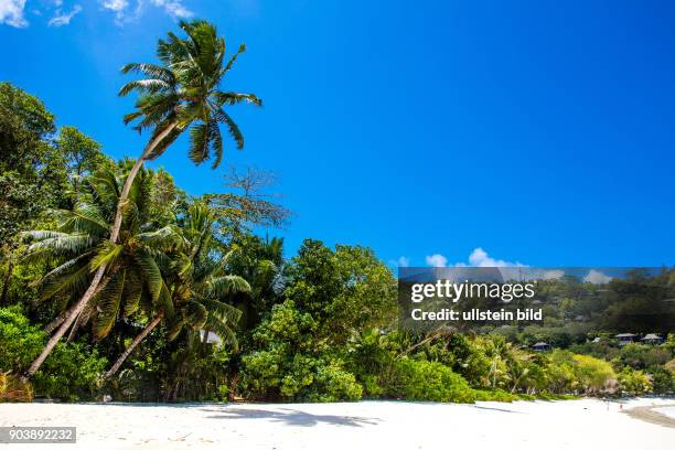 Petite Anse oder Anse la Liberté, Seychellen, Seychelles, SYC, Mahè, groesste Insel, Hauptinsel, Regierungs- und Verwaltungssitz, Inselstaat, Africa,...