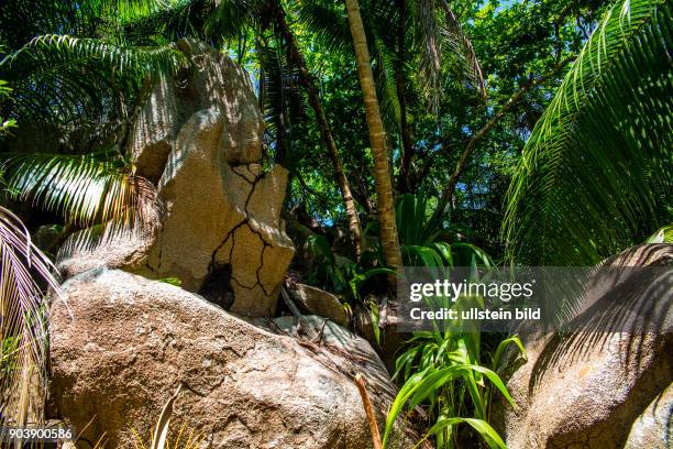 La Digue, Suedumrundung, Abenteuer, abenteurerlicher Weg, Wellengang, drittgroesste Insell, Seychellen, Seychelles, SYC, Inselstaat, Africa, Afrika,...