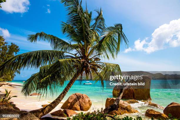 Seychellen, Seychelles, SYC, Praslin, Inselstaat, Africa, Afrika, Suedliches Afrika, Westkueste, Afrasia, Indischer Ozean, Maskarenruecken, Tropen,...