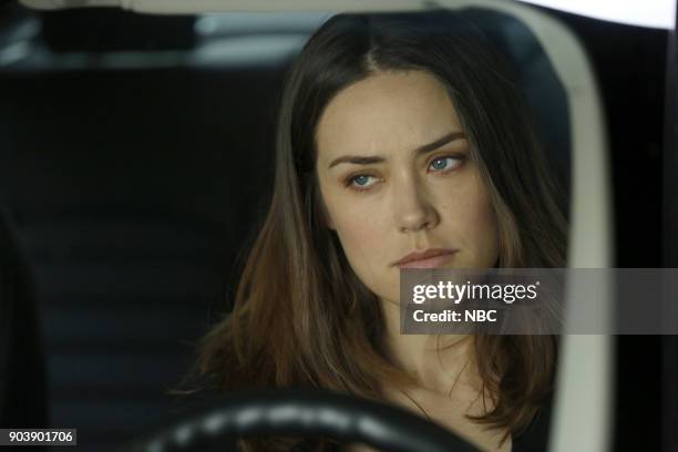 Abraham Stern " Episode 511 -- Pictured: Megan Boone as Elizabeth Keen --