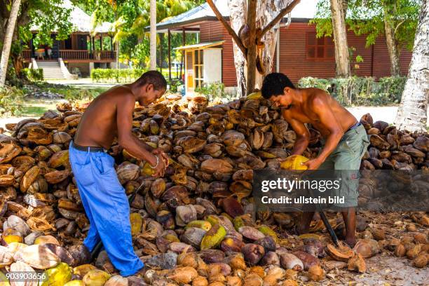 La Digue, drittgroesste Insell, L'Union Estate, Seychellen, Seychelles, SYC, Inselstaat, Africa, Afrika, Suedliches Afrika, Westkueste, Afrasia,...