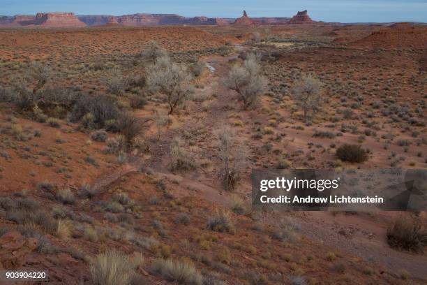 Sculptured sandstone formations, sage bushes, and cottonwood trees decorate the Valley of the Gods, a wilderness area that was part of the Bear Ears...