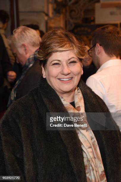 Emily Thornberry attends the West End opening of Bob Dylan and Conor McPherson's Girl from the North Country at Noel Coward Theatre on January 11,...