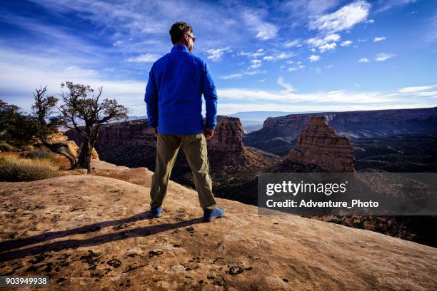 genieten van schilderachtig uitzicht en vista - fruita colorado stockfoto's en -beelden