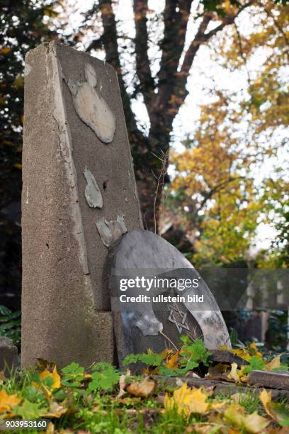 Grabstein auf dem Alten Jüdischer Friedhof in Wroclaw/Breslau