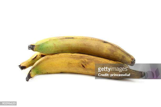 three plantains - plantain stock pictures, royalty-free photos & images