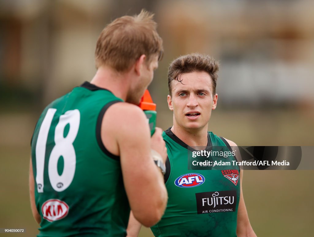 Essendon Bombers Training Session