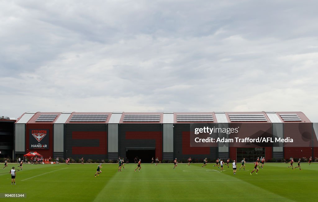 Essendon Bombers Training Session