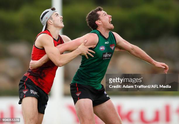 Sam Draper of the Bombers and Matthew Leuenberger of the Bombers compete in a ruck contest during the Essendon Bombers training session at The Hangar...